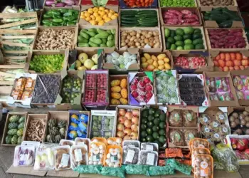 Variações foram influenciadas pelo clima e disponibilidade dos produtos nas Ceasas — Foto: Ceasa-RS/Divulgação