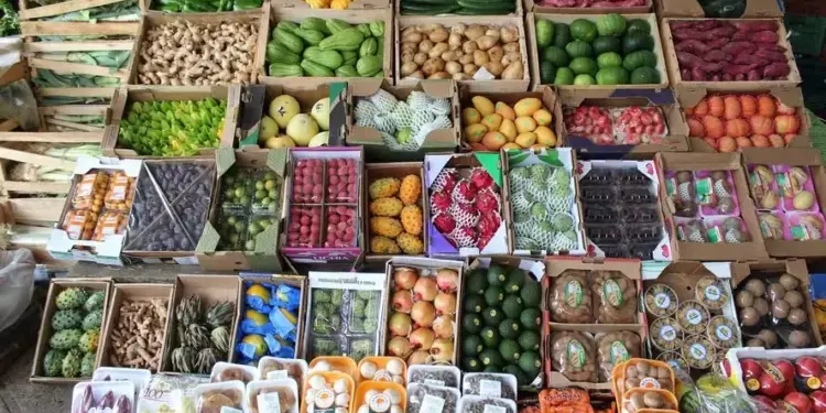 Preços de frutas e hortaliças tiveram ‘queda generalizada’ em julho, diz Conab