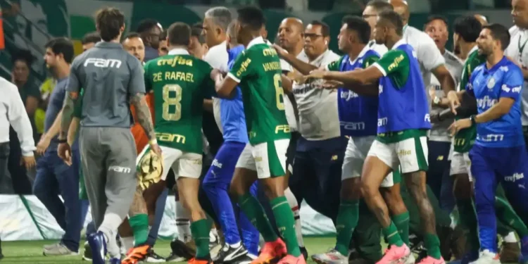 Confusão em Palmeiras x São Paulo começou após o apito final