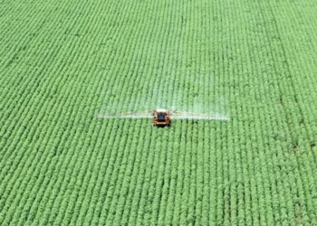 Por meio de fundos estaduais, a infraestrutura dos estados também pode ser melhor com os impostos pagos pelo agronegócio, segundo especialistas • Paulo Whitaker/Reuters