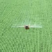 Força do agro: Tocantins e Goiás têm maior potencial de mercado do Brasil