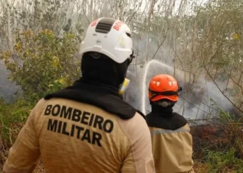 Estiagem também causou muitos incêndios no estado: bombeiros combateram 8,4 mil focos desde junho. • Defesa Civil do Amazonas