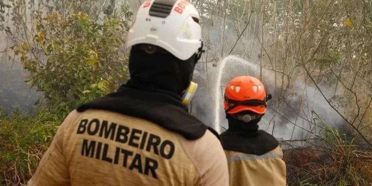 Governo espera seca mais severa em 20 anos na Amazônia e libera recursos