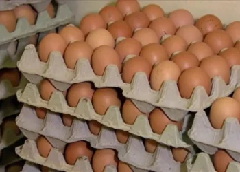 No mercado de ovos, vendas estão lentas