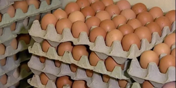 No mercado de ovos, vendas estão lentas