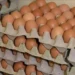 No mercado de ovos, vendas estão lentas