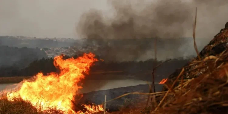 O que sabemos sobre as queimadas no interior de SP
