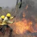 Pará decreta estado de emergência ambiental por incêndios florestais