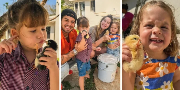 Virginia e família adotam pintinhos e galinhas