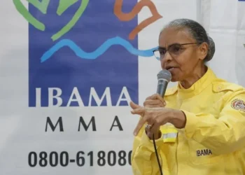 Marina deve falar sobre queimadas e incêndios pelo país • 16/07/2024 - Fernando Donasci/MMA