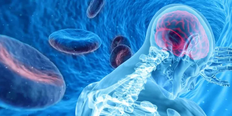 Tocantins participa de Encontro Nacional de Unidades e Linha do Cuidado do AVC