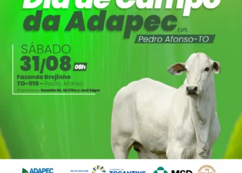 O evento será realizado na fazenda Brejinho, em Pedro Afonso - Foto - Divulgação