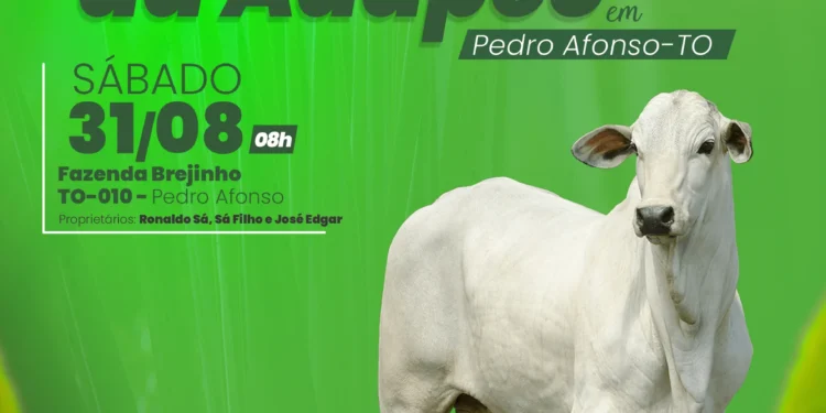 Defesa agropecuária será debatida em Dia de Campo da Adapec em Pedro Afonso