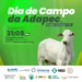 Defesa agropecuária será debatida em Dia de Campo da Adapec em Pedro Afonso