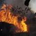 Julho de 2024 bate recorde histórico de focos de incêndio no Amazonas, aponta Inpe