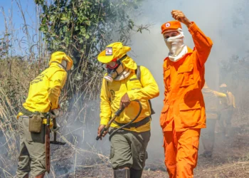 Bombeiro militar treina brigadistas para combate a incêndios florestais no Tocantins