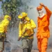Mais de 1760 ocorrências de combate a incêndios florestais já foram atendidas pelo Corpo de Bombeiros Militar