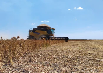 A região que compreende as Planícies Tropicais tem autorização de plantio de sementes para fins específicos. Este ano não foi registrado nenhum foco ativo da ferrugem asiática.