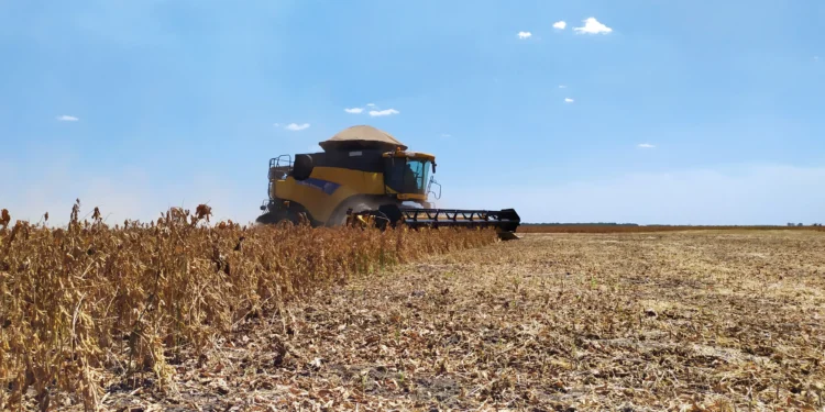 Tocantins encerra prazo para colheita de soja nas Planícies Tropicais dia 20 de setembro