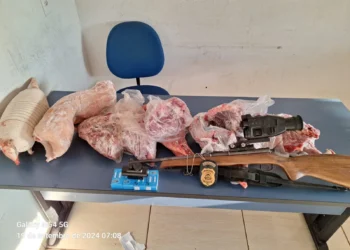 Vários quilos de carne de tatu, paca, veado e pássaros, prontas para o consumo, foram apreendidos - Divulgação PCTO