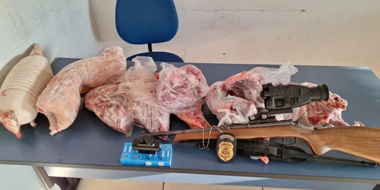 Vários quilos de carne de tatu, paca, veado e pássaros, prontas para o consumo, foram apreendidos - Divulgação PCTO