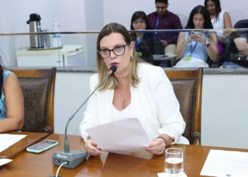 Deputada Claudia requer que Ibama e Governo do Estado mandem soldados para combater fogo na Ilha