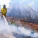 Governo do Tocantins abre processo seletivo para contratação emergencial de brigadistas florestais