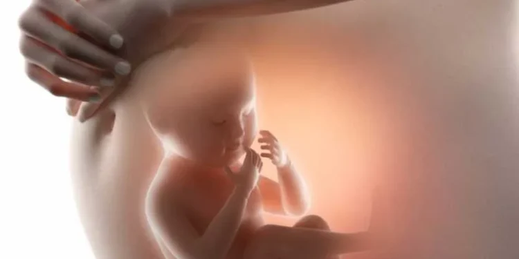 Governo do Tocantins regulamenta Dia Estadual do Nascituro e de Conscientização sobre os Riscos do Aborto