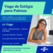 Inscrições para estágio no Sebrae Tocantins encerram hoje