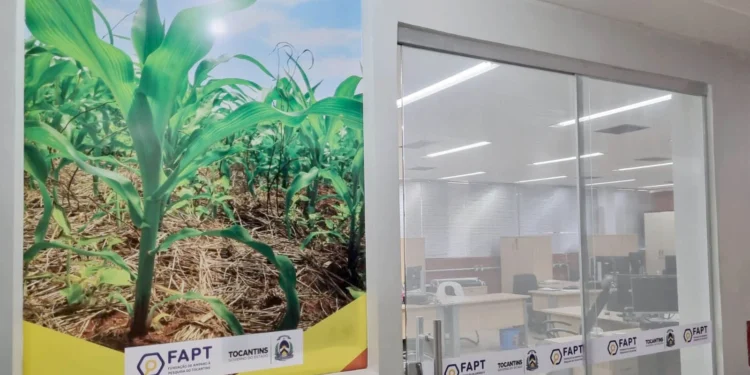 Governo do Tocantins investe R$ 5 milhões em nova etapa do Programa de Iniciação Científica 