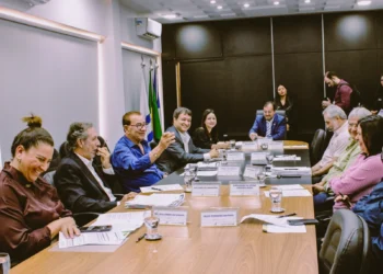 A 133ª reunião do CDE aconteceu nesta quinta-feira, 26, na sala de reuniões da Secretaria de Indústria, Comércio e Serviços (Sics).