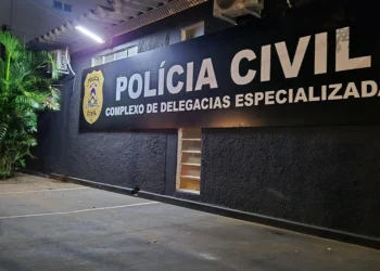 As investigações foram conduzidas pela Divisão Antirroubos da Polícia Civil após a vítima registrar o Boletim de Ocorrência - Divulgação PCTO