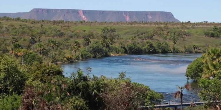 Naturatins divulga lista final de entidades habilitadas para compor o Conselho Gestor da Área de Proteção Ambiental do Jalapão