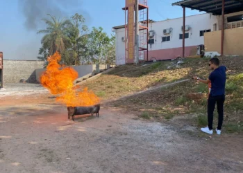 Servidores durante o treinamento no quartel