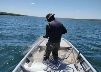 Ação resultou na apreensão de 2,6 mil metros de redes de emalhar - Foto: Naturatins/Governo do Tocantins