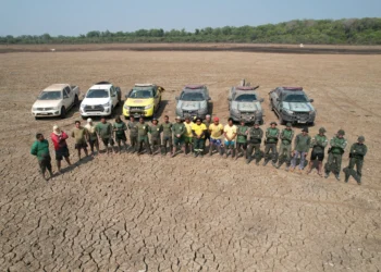 Operação Gigante do Araguaia na Ilha do Bananal resgata mais 150 peixes no Lago Bananal - Foto: Naturatins/Governo do Tocantins