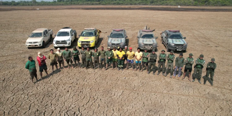 Governo do Tocantins salva mais de 150 peixes durante a Operação Gigante do Araguaia na Ilha do Bananal