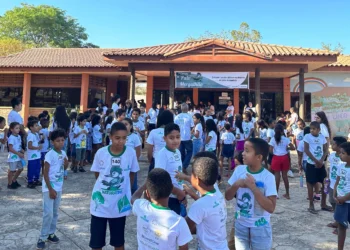 Evento foi realizado em alusão ao Dia do Cerrado, celebrado anualmente no dia 11 de setembro - Foto: Yasmin Oliveira/Governo do Tocantins