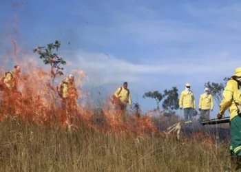 Brigada Gavião Fumaça atua na linha de frente do combate a incêndios florestais nas Unidades de Conservação do Estado - Foto: Walker Ribeiro/Governo do Tocantins
