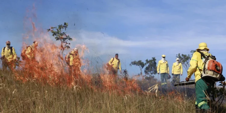 Brigada Gavião Fumaça atua na linha de frente do combate a incêndios florestais nas Unidades de Conservação do Estado - Foto: Walker Ribeiro/Governo do Tocantins