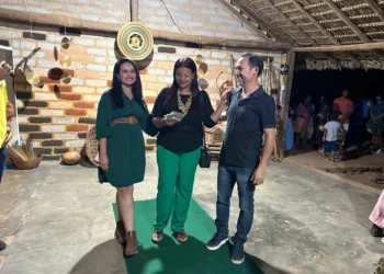 Foram entregues 52 licenças durante a Festa da Colheita - Foto: Andréa Marques/Governo do Tocantins