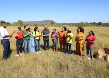 Visita proporcionou a oportunidade de vivenciar o processo de coleta e a importância da preservação do capim-dourado - Foto: Ademir dos Anjos/Governo do Tocantins
