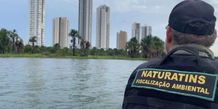 Operações do Naturatins nos rios Tocantins, Araguaia e lago UHE Luís Eduardo Magalhães intensificam combate à pesca predatória no Estado
