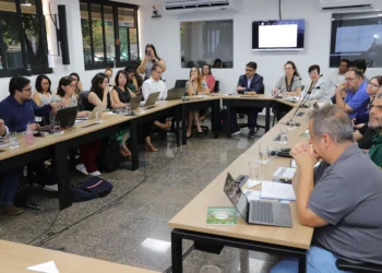 O debate teve como foco a degradação do Cerrado por fogo e como os estados da Amazônia Legal poderão fazer o reporte, o monitoramento e a verificação dos dados para a submissão - Foto: Whasghinton Luiz/Governo do Tocantins