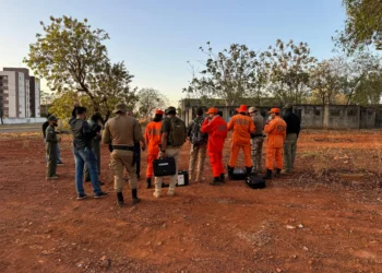 Iniciativa reuniu aproximadamente 40 profissionais das Polícias Civil e Militar, além do Corpo de Bombeiros - Raimundo Gabriel/Governo do Tocantins