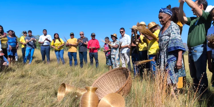 Festa da Colheita celebra tradição e sustentabilidade no Jalapão