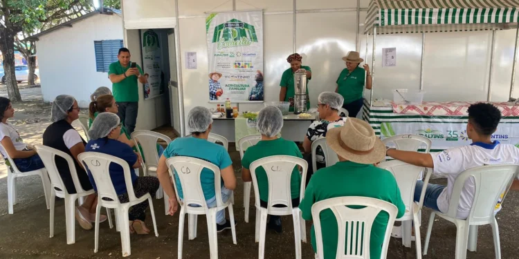 Colinas sedia a 14ª edição da Feira da Colheita durante a ExpoColinas