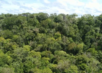Os dados de distribuição são dos focos acumulados até o dia 09 de setembro – Foto_Fernando Alves/Governo do Tocantins