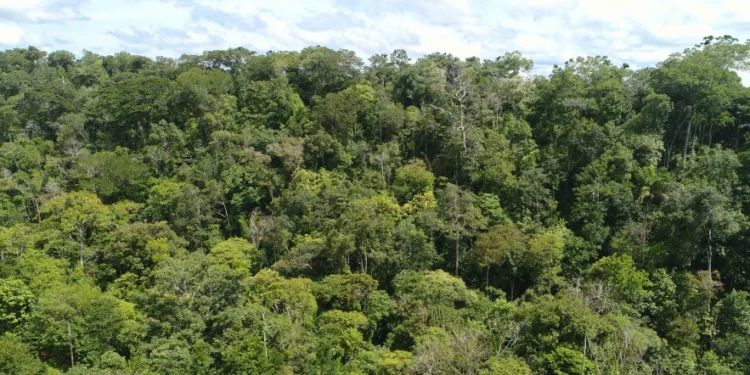 Os dados de distribuição são dos focos acumulados até o dia 09 de setembro – Foto_Fernando Alves/Governo do Tocantins
