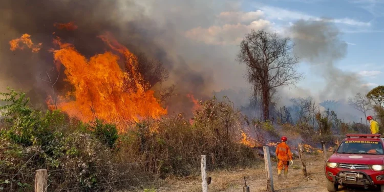 Prefeito de Formoso do Araguaia, Israel Kawe, agradece o suporte do Estado no combate às queimadas no município
